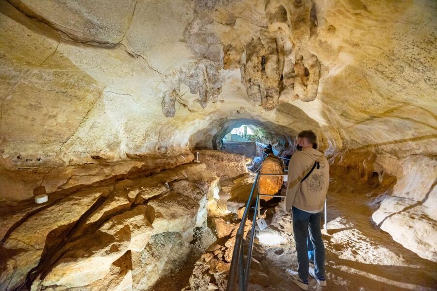 Prehistoric Temples of Malta Tour - Ghar Dalam Cave and Museum: Malta before the temples