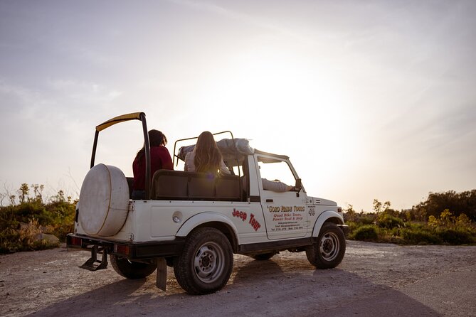 Private UTV Tour in Gozo (Full Day) - Lunch, transport, and the price question