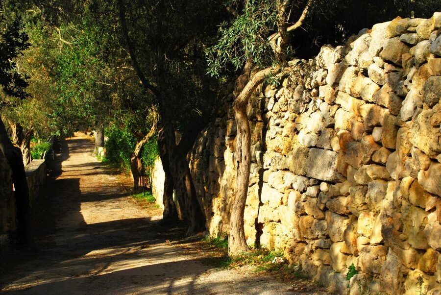 Scenic Tour by Vintage Bus to Buskett Garden & Dingli Cliffs - Key points to know before booking