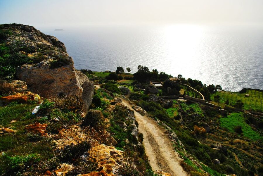 Scenic Tour by Vintage Bus to Buskett Garden & Dingli Cliffs - Why this five-hour Malta tour works