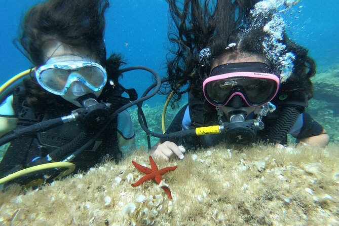 Scuba Diving Class in Mellieha - Key points to know before booking