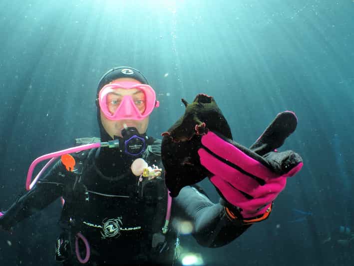 SSI Try Scuba Diving in the sea - What the $58 price buys you
