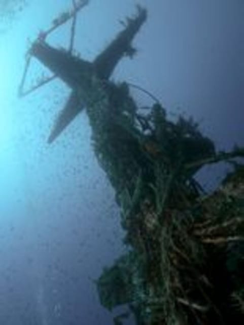 St Julians: Discover Scuba Diving Experience - Starting at Divewise in St Julian’s