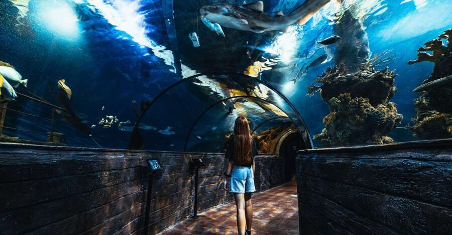 St Paul's Bay: Malta National Aquarium Entry Ticket - Key things to know before you go