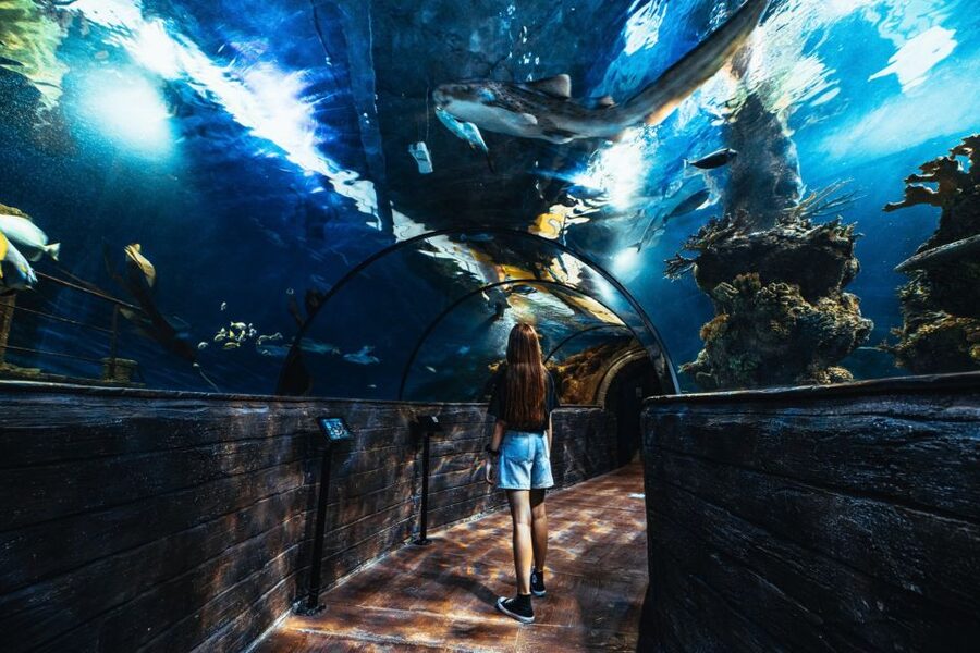 St Paul's Bay: Malta National Aquarium Entry Ticket - How long should you plan for?