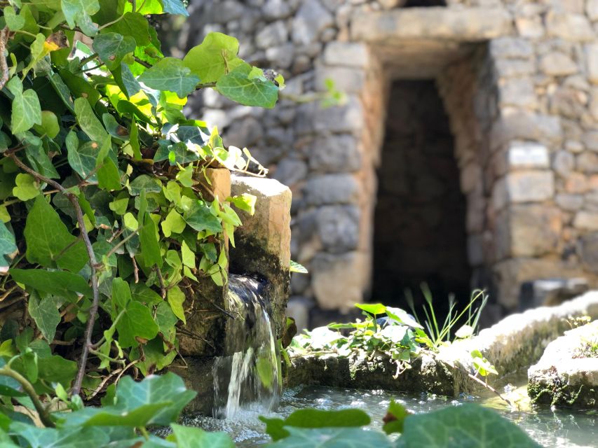 The Limestone Heritage Park and Gardens (Entry Ticket) - Start with the audio-visual presentation
