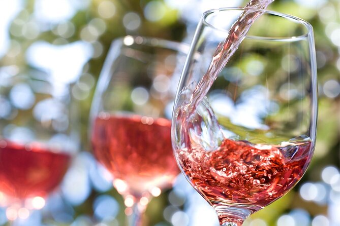 The Taste of Malta Artisan Wine Pairing - What the Malta Chocolate Factory tasting is really like