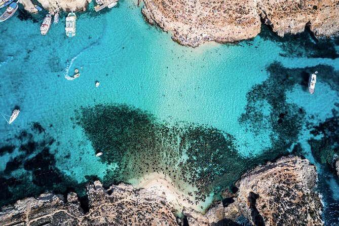 Turkish Gullet Cruise to Gozo and Comino with Lunch and Transfers - Swimming near Gozo, without visiting Gozo