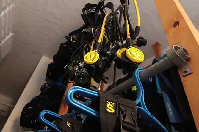 Two Morning Dives in Gozo for Certified Diver - Meeting in Marsalforn at 8 AM