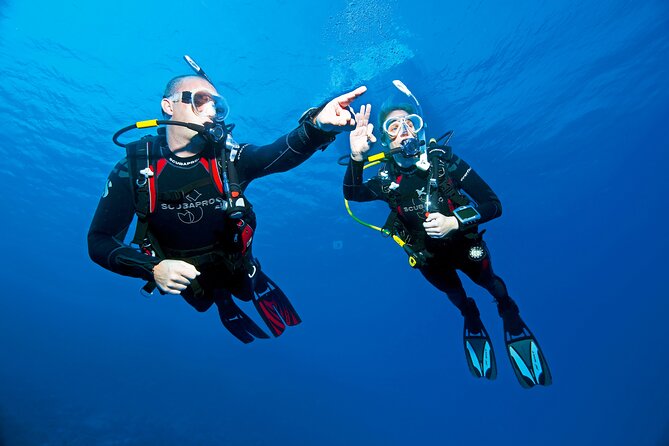 Two Morning Dives in Gozo for Certified Diver - The second session and logbook sign-off