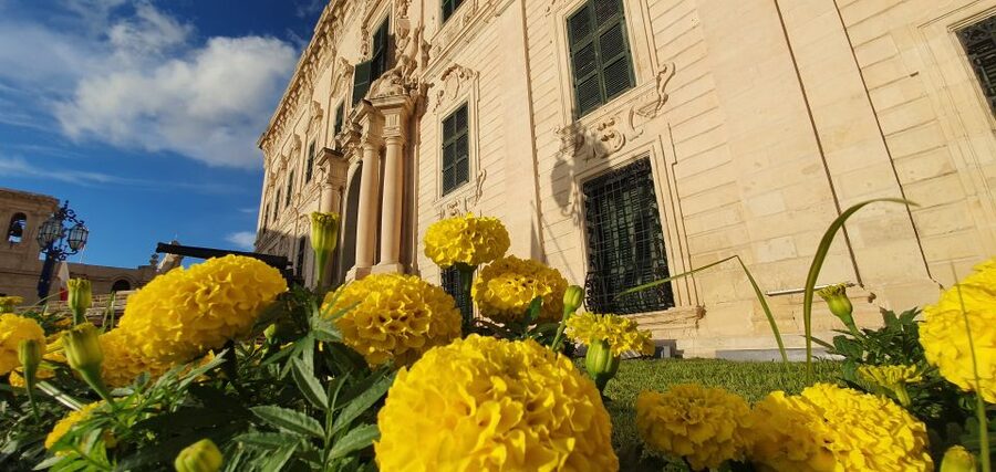 Valletta: Food Walking Tour with Tastings - Merchants Street and the longer tasting stretch