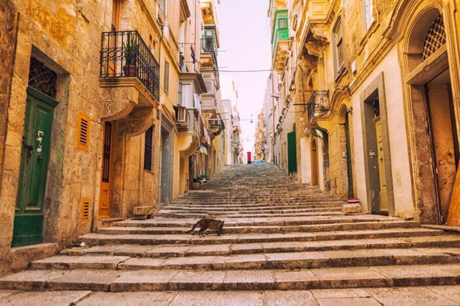 Valletta: Private Walking Tour With A Guide ( Private Tour ) - Museums, monuments, and the cost of going inside