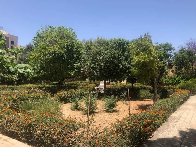 Visit Tarxien Temples, Kalanka Bay, Blue Grotto, Marsaxlokk - Key points at a glance